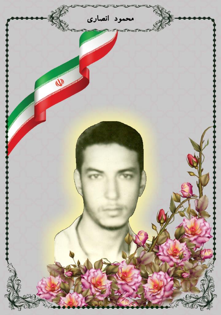 فاقد تصویر